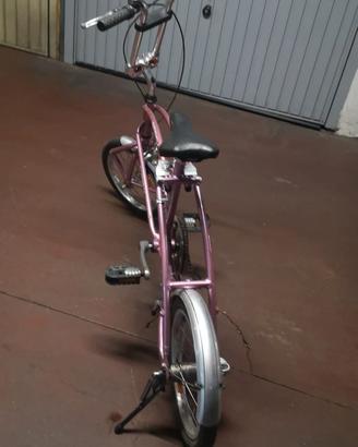 Bicicletta pieghevole Carnielli Big Fish