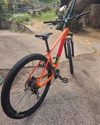 bici Cube