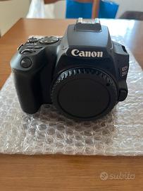 Canon eos 250D EF-S 18-55 IS STM kit