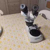  NUOVO-Stereomicroscopio  KERN OSE 416 BINOCULARE