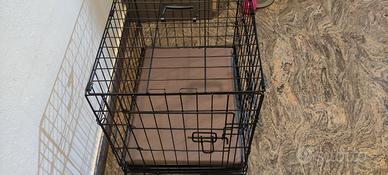 Gabbia/trasportino