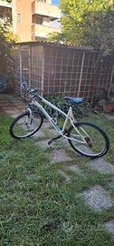 Bici 26