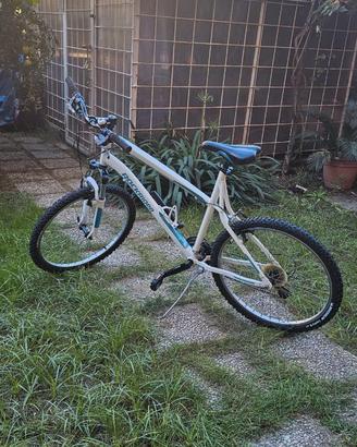 Bici 26