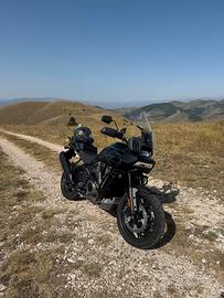 Harley Davidson Pan America 1250 Special