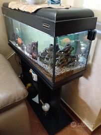 Acquario 130 litri con mobile 
