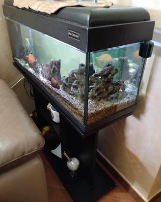 Acquario 130 litri con mobile 