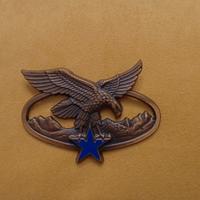 Distintivo militare alpino francese.