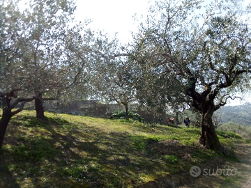 Terreno Edificabile zona Pescara Colli