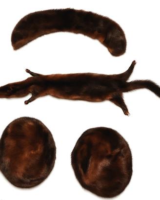 Visone Originale, cappelli, collo e visone integro