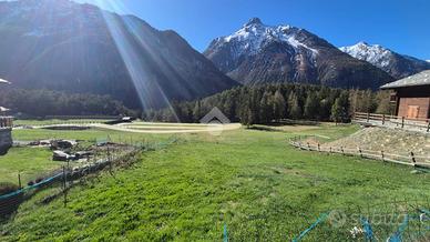 TER. RESIDENZIALE A BIONAZ