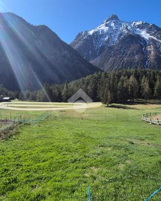 TER. RESIDENZIALE A BIONAZ