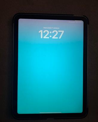ipad wifi 64 GB penna e cover 