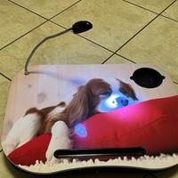 Piano d’appoggio per lettura o pc