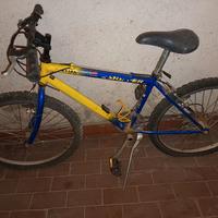 bicicletta