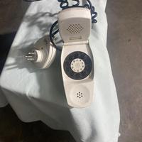 Telefono grillo parlante