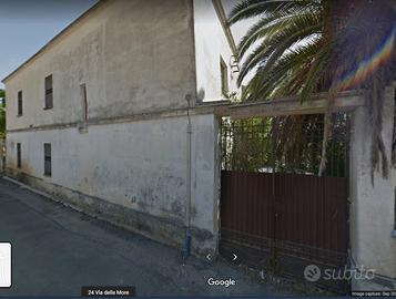 Tenuta con diverse unita con agrumeto e oliveto