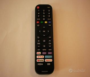 Telecomando  EN2G30H nuovo per Tv Smart HISENSE