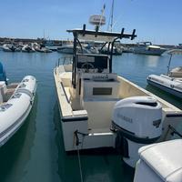 Robalo 2320