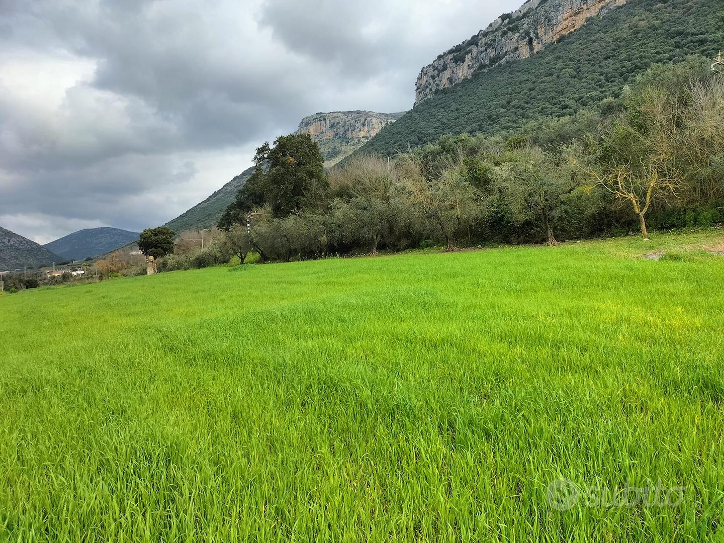 Terreno agricolo con piccolo rudere(come da foto) - Vista 3
