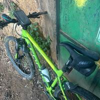 Focus whistler 29 m/l