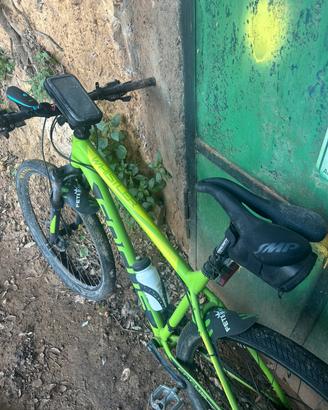 Focus whistler 29 m/l