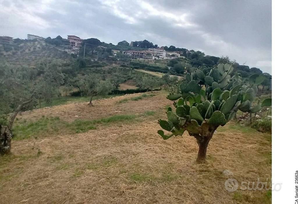 Immobile in asta di 5924 m² a Norma - Vista 4