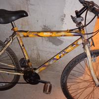 bici montain bike 
