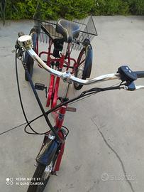 Bicicletta elettrica a tre ruota