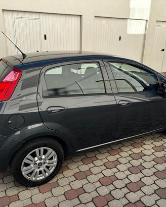 FIAT PUNTO 1.3 MULTIJET 95 CV (2017)