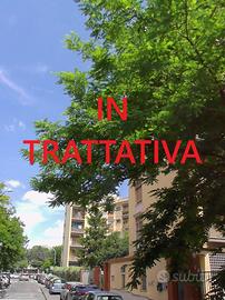 Appartamento Roma [Pennabilli triloVRG]