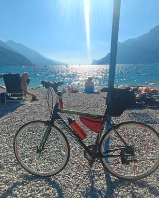 bici trekking fitness taglia M