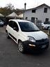 fiat-panda-1-3-mjt-s-s-4x4-van-fine-014