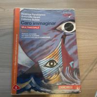 Caro immaginar (Italiano)