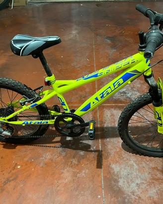 Mtb da 20”