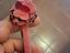 Immagine 2