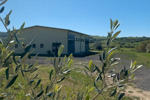 Azienda agricola