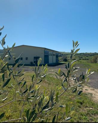 Azienda agricola