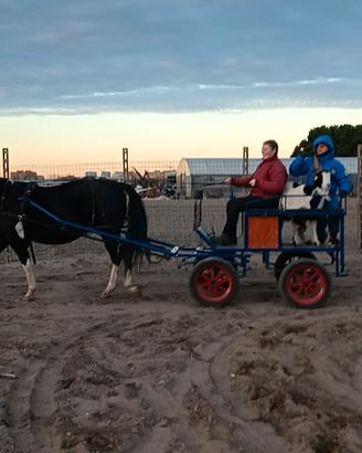 carrozza arigianale
