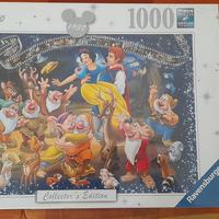 Puzzle 1000 pezzi