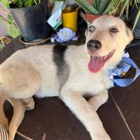 Innamoratevi di noi ??