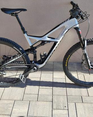mtb SPECIALIZED enduro expert CARBON 29 taglia L