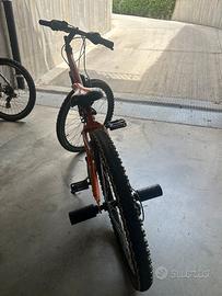 Mountain bike Lombardo