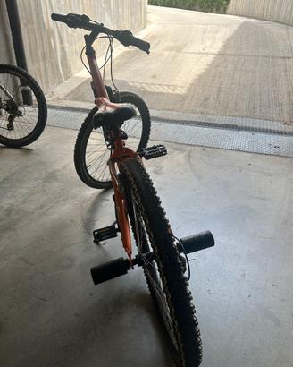 Mountain bike Lombardo