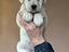 Immagine 16