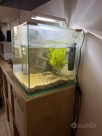 Acquario cubo Aquatlantis