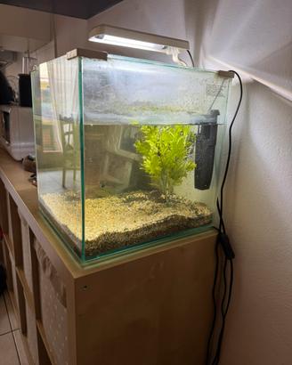 Acquario cubo Aquatlantis