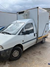 Scudo frigorifero con atp valido