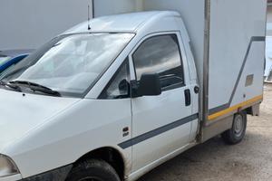 Scudo frigorifero con atp valido