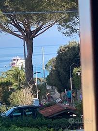 Appartamento Procchio