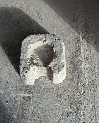 Zoccolo per vigna